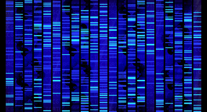 Using 23andme And Promethease To Detect Sleep And Circadian Rhythm Disorders